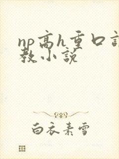 np高h重口调教小说