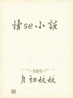 情se小说