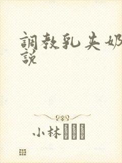 调教乳夹奶头小说