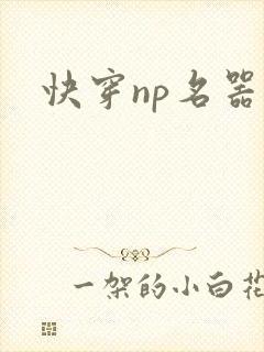 快穿np名器