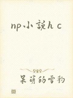 np小说h c