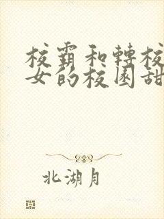 校霸和转校乖乖女的校园甜宠文