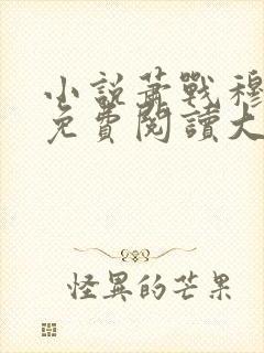 小说萧战穆如雪免费阅读大结局封面