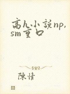 高h小说np,sm重口