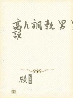 高h调教男男小说