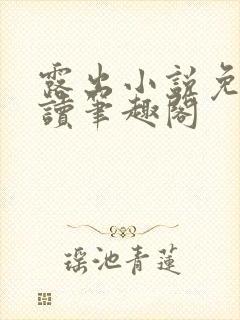 露出小说免费阅读笔趣阁