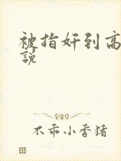 被指奸到高潮小说