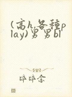 (高h,各种play)男男bl