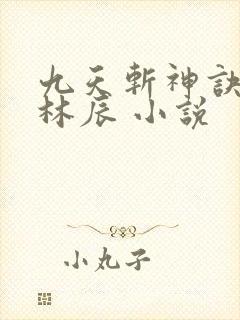 九天斩神诀小说林辰 小说