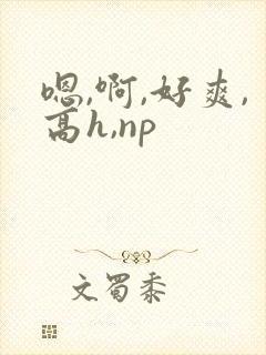 嗯,啊,好爽,高h,np