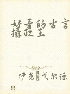 好看的古言小说摄政王