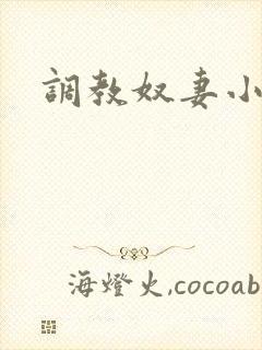 调教奴妻小说h封面