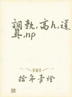 调教,高h,道具,np