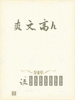 爽文高h封面