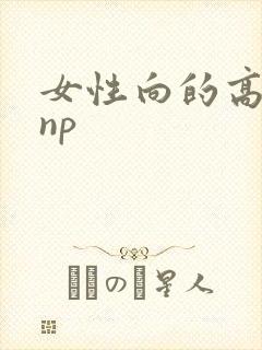 女性向的高h文np