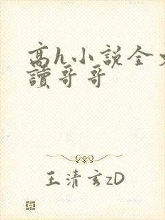 高h小说全文阅读哥哥