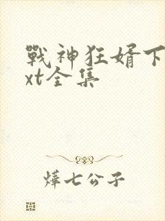 战神狂婿下载txt全集