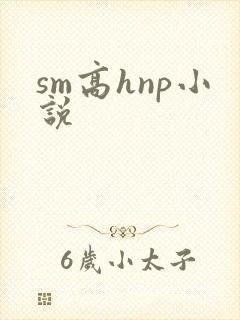 sm高hnp小说