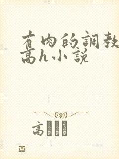 有肉的调教np高h小说封面