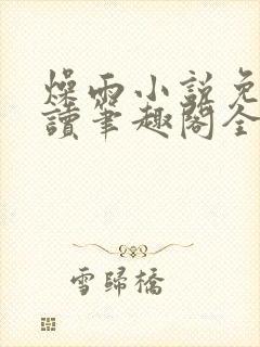 燥雨小说免费阅读笔趣阁全文