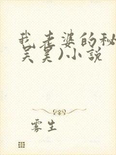我老婆的秘密(吴昊)小说