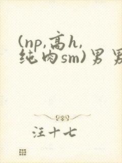 (np,高h,纯肉sm)男男封面