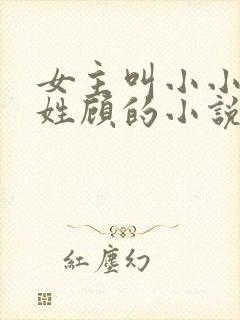 女主叫小小男主姓顾的小说