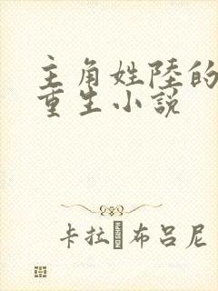 主角姓陆的都市重生小说