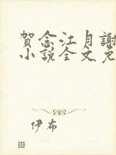 贺念江月谢泊年小说全文免费阅读笔趣阁