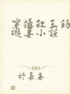 穿摄政王的侍爱逃妻小说封面
