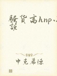 骚货高hnp小说