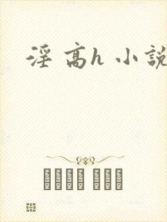 淫 高h 小说
