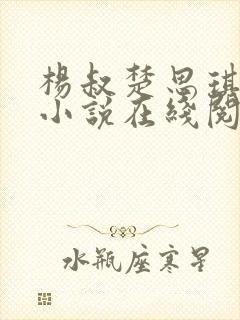 杨叔楚思琪养父小说在线阅读