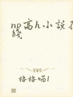np高h小说在线