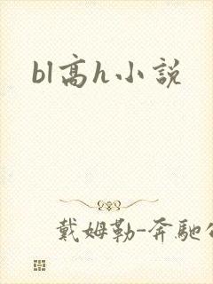 bl高h小说封面