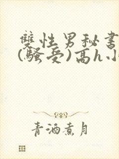 双性男秘书巨乳(骚受)高h小说封面