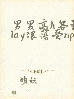 男男高h各种play浪荡受np