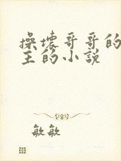 操坏哥哥的双男主的小说