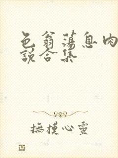 色翁荡息肉欲小说合集