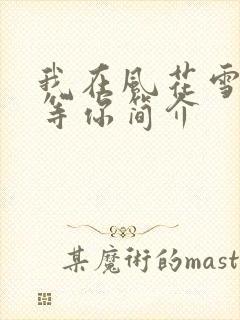 我在风花雪月里等你简介封面