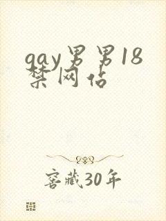 gay男男18禁网站