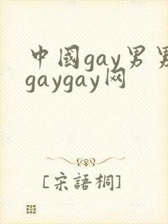 中国gay男男gaygay网