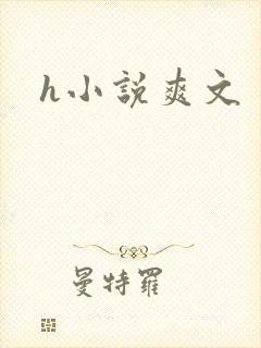 h小说爽文