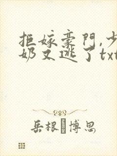 拒嫁豪门,少奶奶又逃了txt.小说免费阅读封面