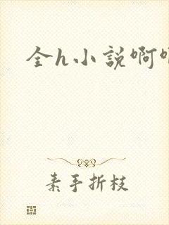 全h小说啊啊啊封面