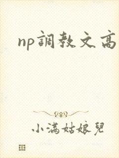 np调教文高h