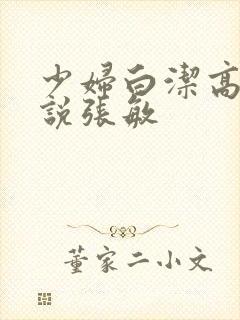 少妇白洁高义小说张敏