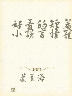 好看的短篇完结小说言情宠文