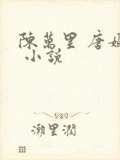 陈万里 唐嫣然 小说