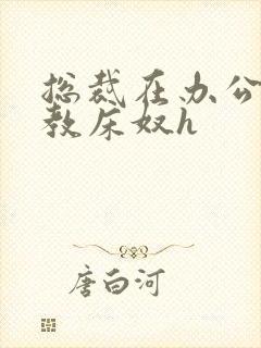 总裁在办公室调教床奴h